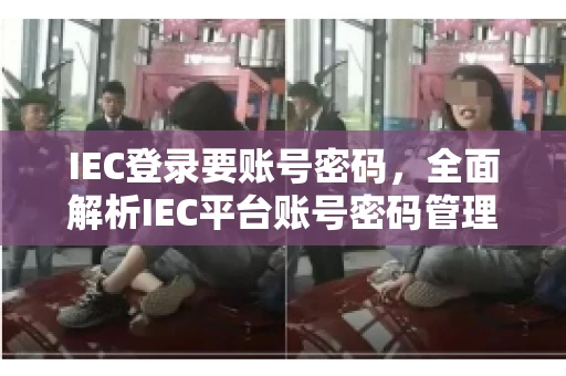 IEC登录要账号密码，全面解析IEC平台账号密码管理