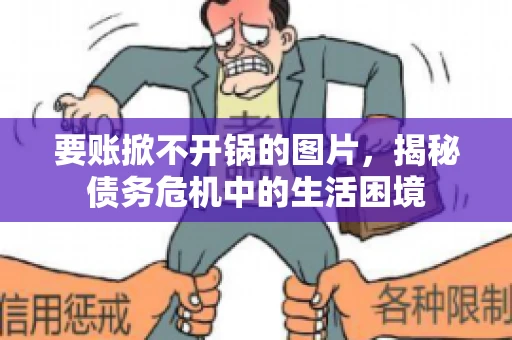 要账掀不开锅的图片，揭秘债务危机中的生活困境