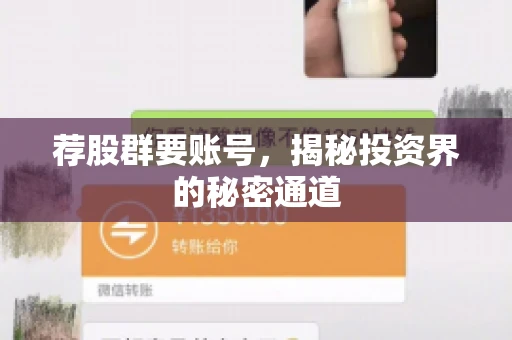 荐股群要账号，揭秘投资界的秘密通道