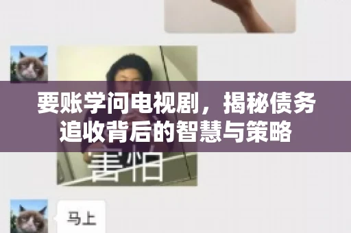 要账学问电视剧,揭秘债务追收背后的智慧与策略 要账学问电视剧,揭秘债务追收背后的智慧与策略