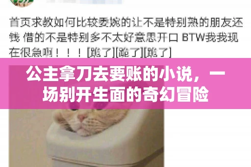 公主拿刀去要账的小说，一场别开生面的奇幻冒险