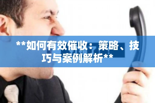 **如何有效催收：策略、技巧与案例解析**