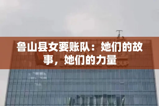 鲁山县女要账队：她们的故事，她们的力量