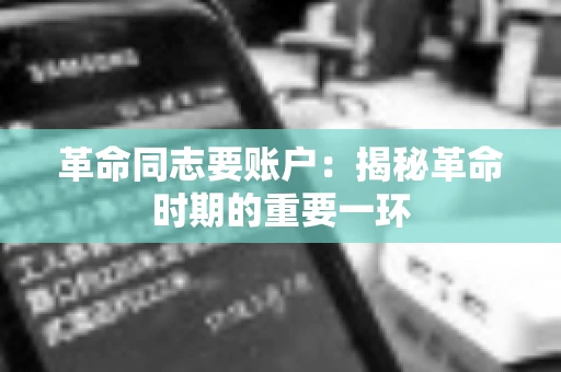 革命同志要账户：揭秘革命时期的重要一环