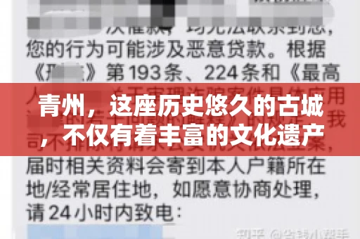 青州,这座历史悠久的古城,不仅有着丰富的文化遗产,也是商业活动频繁的地方。对于许多企业来说,应收账款的管理是日常运营中不可或缺的一环。那么,青州那里有要账的公司呢?今天,我们就来聊聊这个话题。 青州,这座历史悠久的古城,不仅有着丰富的文化遗产,也是商业活动频繁的地方。对于许多企业来说,应收账款的管理是日常运营中不可或缺的一环。那么,青州那里有要账的公司呢?今天,我们就来聊聊这个话题。