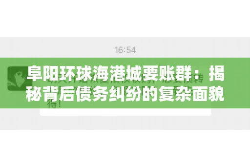 阜阳环球海港城要账群：揭秘背后债务纠纷的复杂面貌