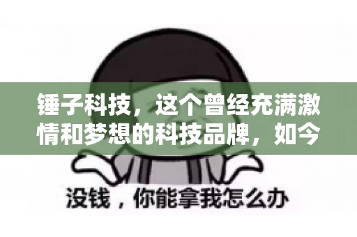 锤子科技，这个曾经充满激情和梦想的科技品牌，如今却陷入了要账的困境。今天，我们就来聊聊锤子科技要账的那些事儿。