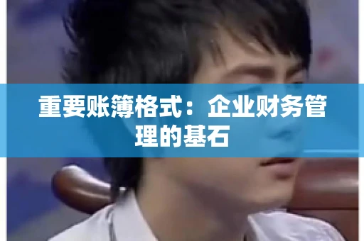 重要账簿格式：企业财务管理的基石