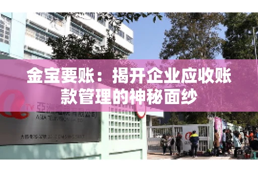 金宝要账：揭开企业应收账款管理的神秘面纱