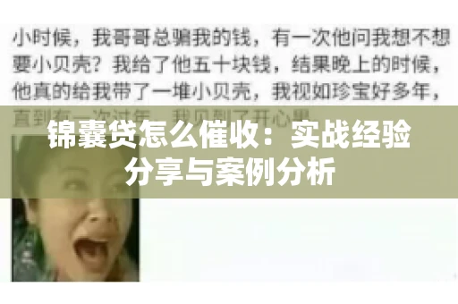 锦囊贷怎么催收:实战经验分享与案例分析 锦囊贷怎么催收:实战经验分享与案例分析